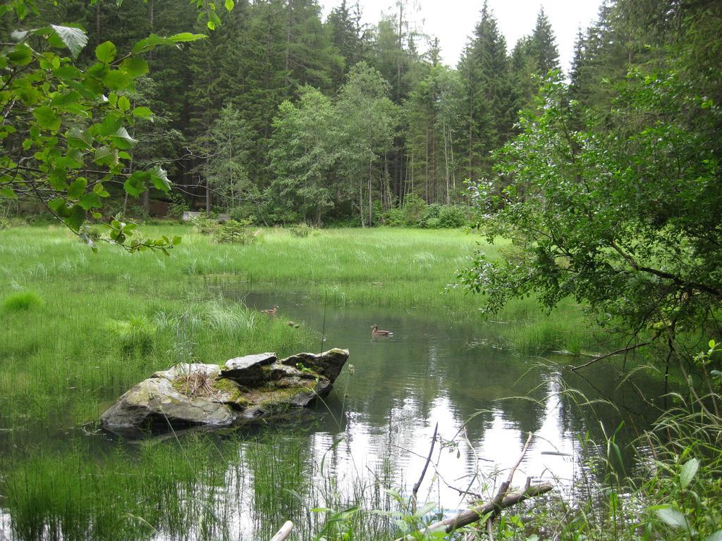 Landhof Adlerhorst Leilighet Heiligenblut Rom bilde